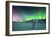 Frozen spruce tree covered with snow lit by Northern Lights (Aurora Borealis) in winter, Iso Syote-Roberto Moiola-Framed Photographic Print