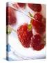 Frozen Strawberries in a Glass-Dieter Heinemann-Stretched Canvas