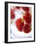 Frozen Strawberries in a Glass-Dieter Heinemann-Framed Photographic Print