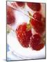 Frozen Strawberries in a Glass-Dieter Heinemann-Mounted Photographic Print