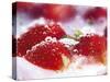 Frozen Strawberries-Dieter Heinemann-Stretched Canvas