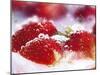 Frozen Strawberries-Dieter Heinemann-Mounted Photographic Print