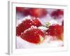 Frozen Strawberries-Dieter Heinemann-Framed Photographic Print
