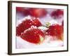 Frozen Strawberries-Dieter Heinemann-Framed Photographic Print