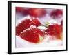 Frozen Strawberries-Dieter Heinemann-Framed Photographic Print