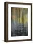 Frozen Sunrise-Jacob Berghoef-Framed Photographic Print