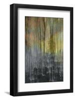 Frozen Sunrise-Jacob Berghoef-Framed Photographic Print