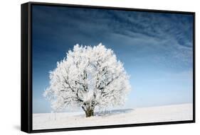 Frozen Tree on Winter Field and Blue Sky-Dudarev Mikhail-Framed Stretched Canvas