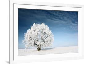 Frozen Tree on Winter Field and Blue Sky-Dudarev Mikhail-Framed Photographic Print