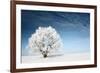Frozen Tree on Winter Field and Blue Sky-Dudarev Mikhail-Framed Photographic Print