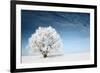 Frozen Tree on Winter Field and Blue Sky-Dudarev Mikhail-Framed Photographic Print