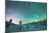 Frozen trees in the snow under the multi colored sky during the Northern Lights (Aurora Borealis)-Roberto Moiola-Mounted Photographic Print