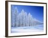 Frozen Trees-null-Framed Photographic Print