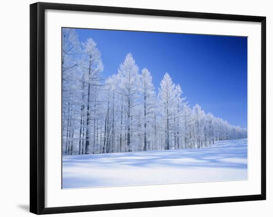 Frozen Trees-null-Framed Photographic Print