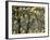 Frozen Twigs of a Corkscrew Willow Sparkle in the Sunlight-Raymond Gehman-Framed Photographic Print