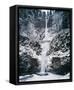 Framed Canvas