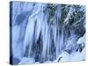 Frozen Waterfall Icicles and Frosty Plants-null-Stretched Canvas