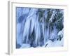 Frozen Waterfall Icicles and Frosty Plants-null-Framed Photographic Print