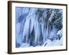Frozen Waterfall Icicles and Frosty Plants-null-Framed Photographic Print