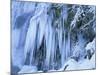 Frozen Waterfall Icicles and Frosty Plants-null-Mounted Photographic Print