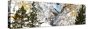 Frozen waterfall seen from Artist Point in winter snow. Yellowstone National Park. Wyoming.-Tom Norring-Stretched Canvas