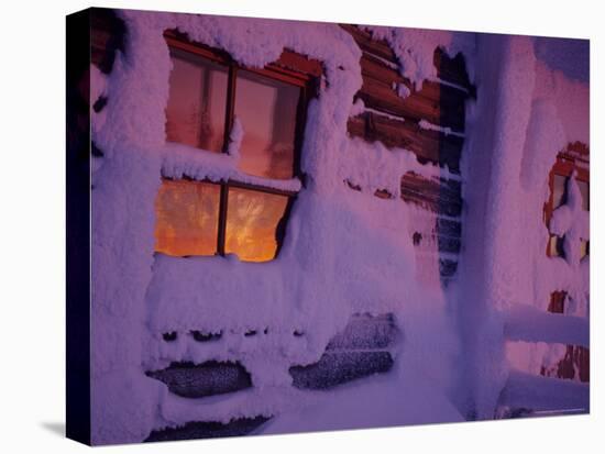 Frozen Window, Lapland, Finland-Daisy Gilardini-Stretched Canvas