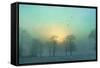 Frozen-Viviane Fedieu Daniel-Framed Stretched Canvas