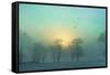 Frozen-Viviane Fedieu Daniel-Framed Stretched Canvas