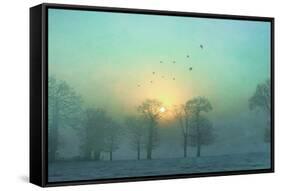 Frozen-Viviane Fedieu Daniel-Framed Stretched Canvas