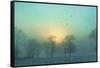 Frozen-Viviane Fedieu Daniel-Framed Stretched Canvas