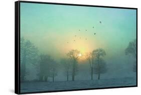 Frozen-Viviane Fedieu Daniel-Framed Stretched Canvas