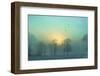 Frozen-Viviane Fedieu Daniel-Framed Premium Photographic Print