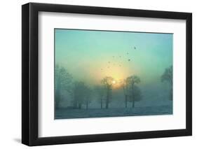 Frozen-Viviane Fedieu Daniel-Framed Photographic Print