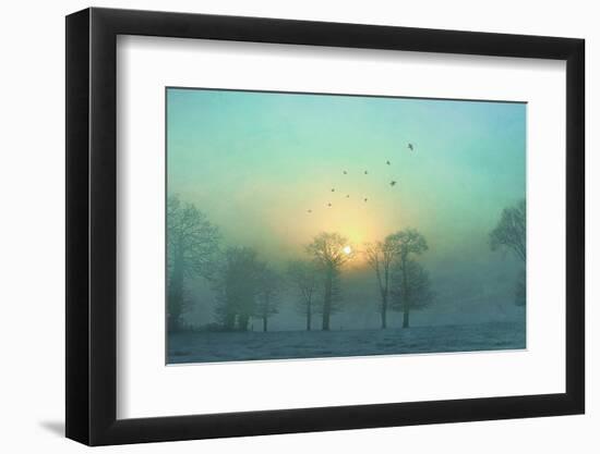 Frozen-Viviane Fedieu Daniel-Framed Photographic Print