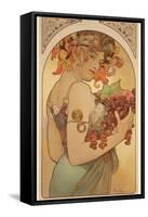 Fruit, 1897-Alphonse Mucha-Framed Stretched Canvas
