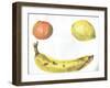 Fruit, 1996, (acrylic on paper)-Vincent Alexander Booth-Framed Giclee Print