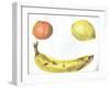 Fruit, 1996, (acrylic on paper)-Vincent Alexander Booth-Framed Giclee Print