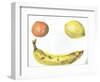 Fruit, 1996, (acrylic on paper)-Vincent Alexander Booth-Framed Giclee Print