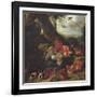 Fruit and Animals-Abraham Brueghel-Framed Giclee Print