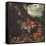 Fruit and Animals-Abraham Brueghel-Framed Stretched Canvas