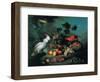 Fruit and Birds-Jakob Bogdany-Framed Art Print