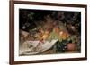 Fruit and Flowers on a Stone Ledge, 1829-George Lance-Framed Giclee Print