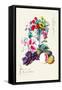 Fruit and Flowers-null-Framed Stretched Canvas