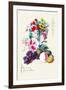 Fruit and Flowers-null-Framed Art Print