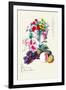 Fruit and Flowers-null-Framed Art Print