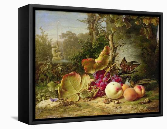 Fruit and Sparrows, 1863-Johann Wilhelm Preyer-Framed Stretched Canvas