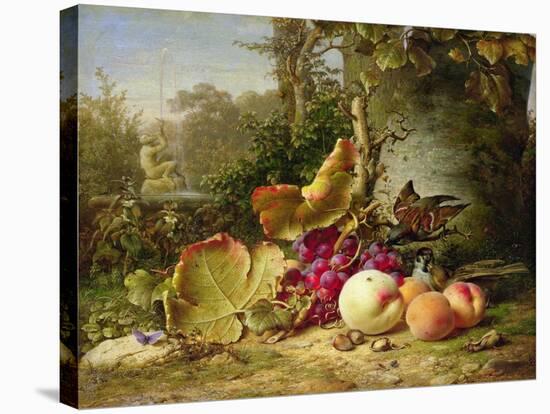 Fruit and Sparrows, 1863-Johann Wilhelm Preyer-Stretched Canvas