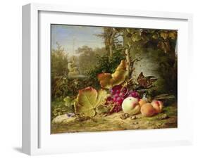 Fruit and Sparrows, 1863-Johann Wilhelm Preyer-Framed Giclee Print