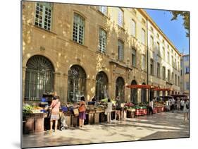 Fruit and Vegetable Market, Aix-En-Provence, Bouches-Du-Rhone, Provence, France, Europe-Peter Richardson-Mounted Photographic Print