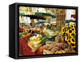 Fruit and Vegetable Market, Aix-En-Provence, Bouches-Du-Rhone, Provence, France, Europe-Peter Richardson-Framed Stretched Canvas